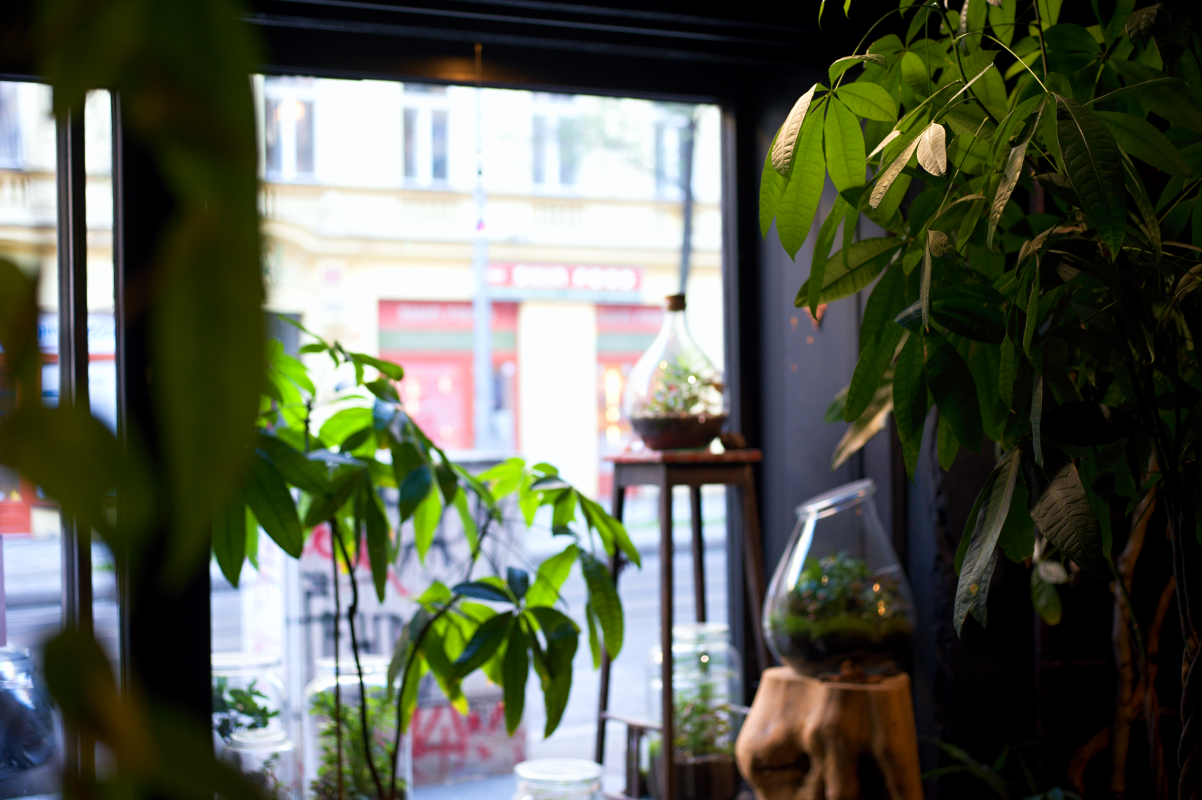 atelier Milujeme mech Korunní 1250